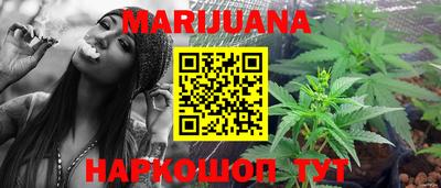 прущие грибы Краснодар