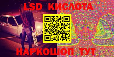 прущие грибы Краснодар