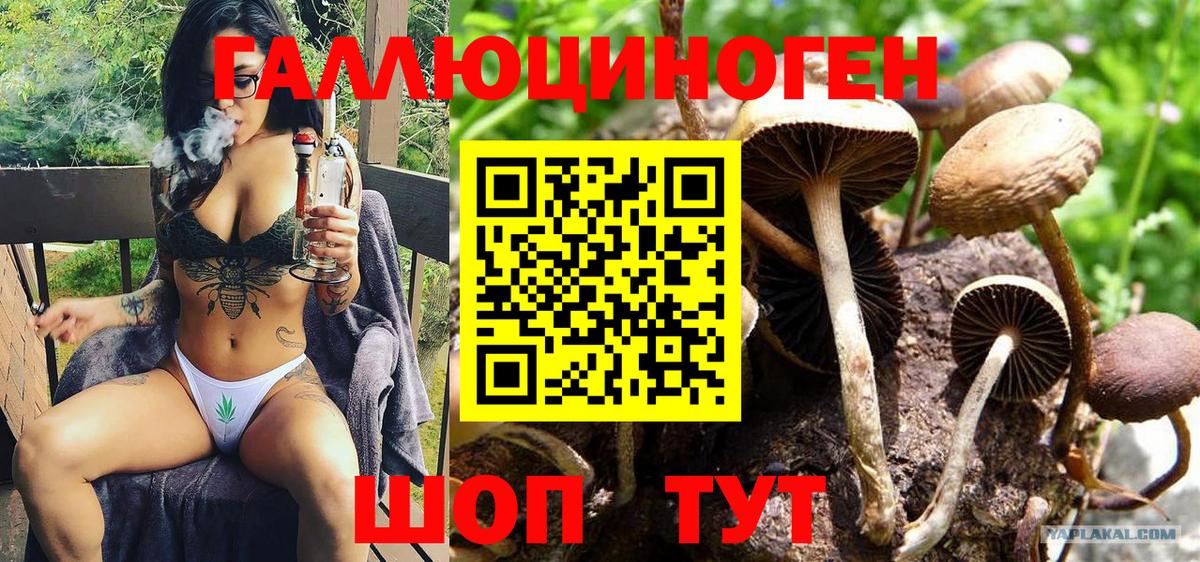 Галлюциногенные грибы Psilocybe  Галлюциногенные грибы Psilocybine cubensis  Вход с VPN  Феодосия 